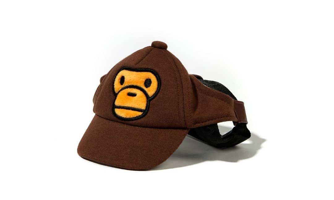 这是目前最潮的宠物用品!BABY MILO打造狗狗用品系列!