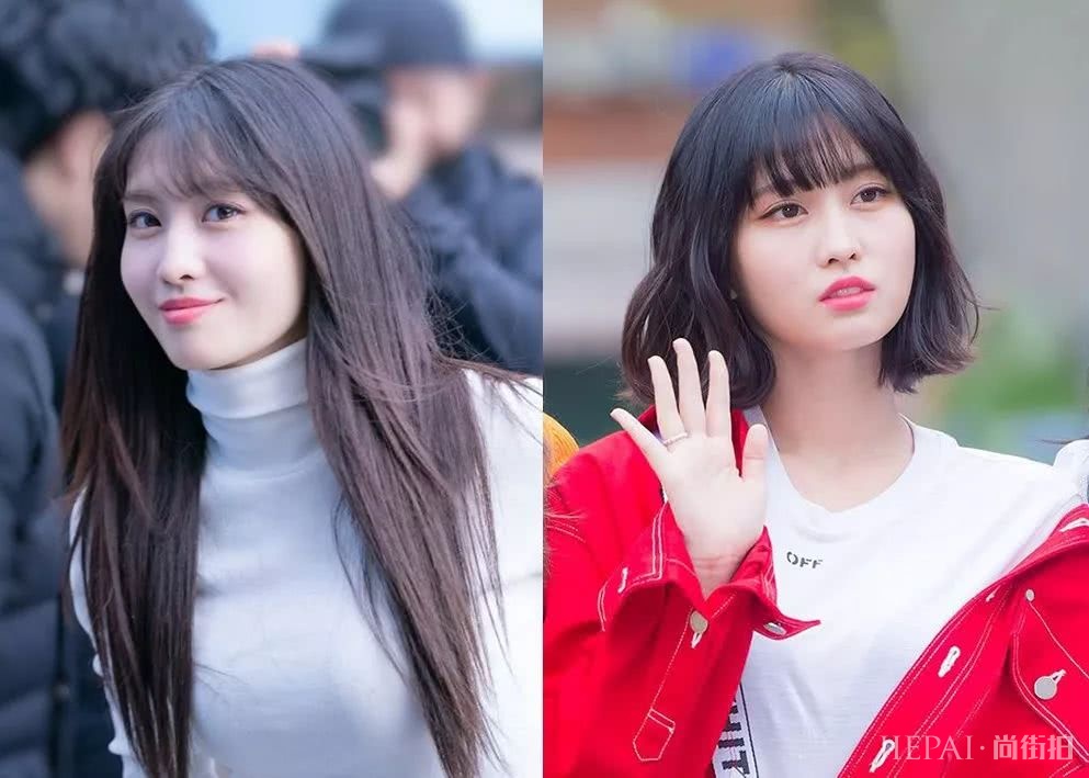 佟丽娅这款短发瘦脸有灵气还好打理，你不想拥有嘛