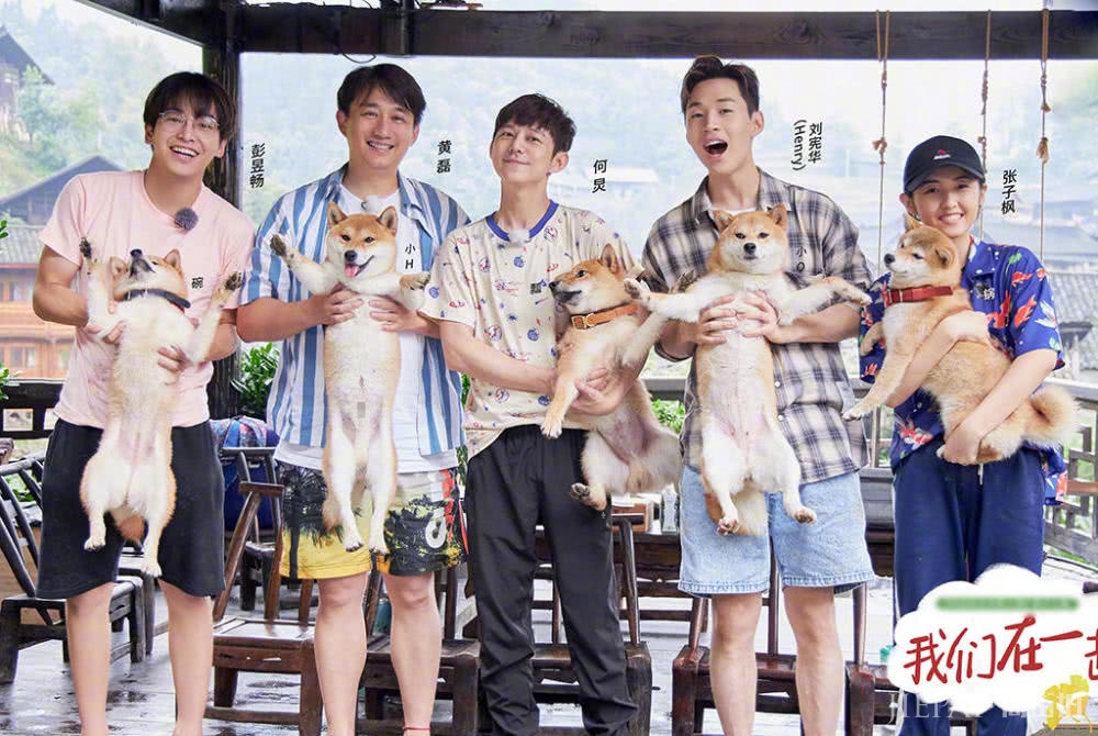 张子枫向往的生活上热搜，私服穿搭有品位