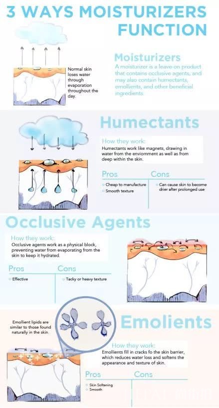 名门泽佳护肤重点之干性皮肤