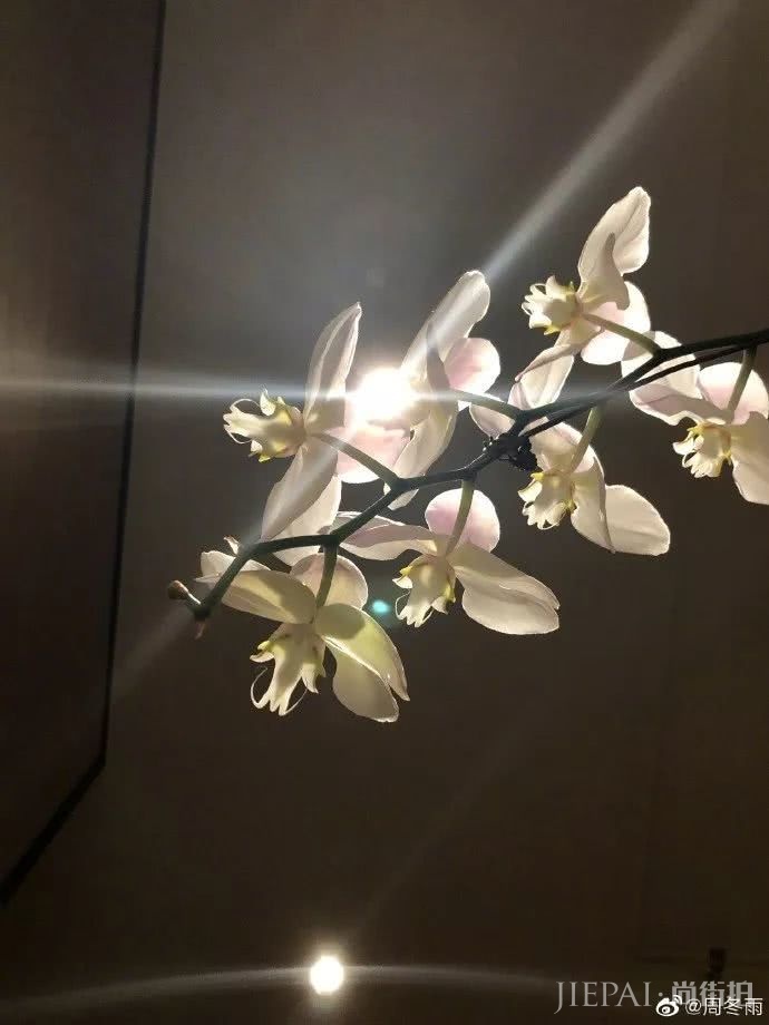 周冬雨造型：如何复制一枚周冬雨？