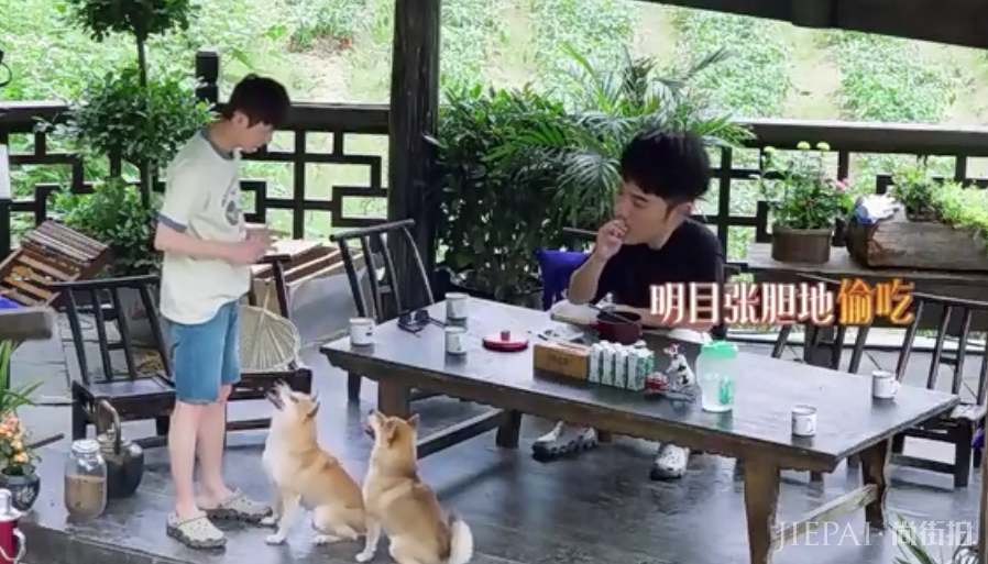 陈赫是张子枫舅舅?随后偷吃狗粮停不下来,赞不绝口被何炅发现