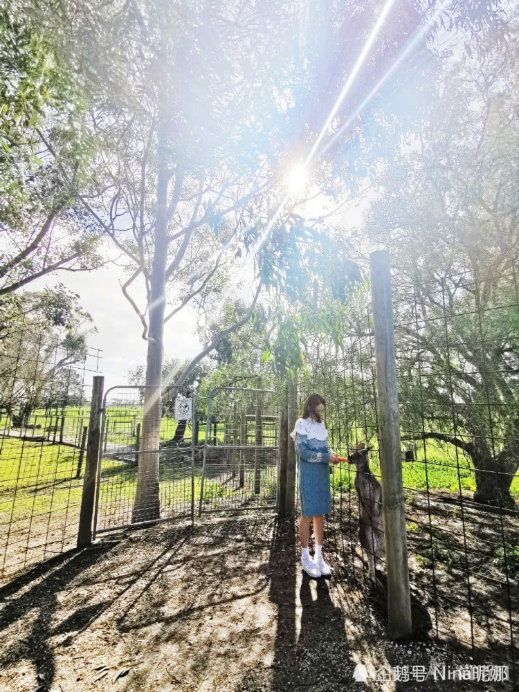 40岁陈乔恩墨尔本旅行拍大片,穿长裙打扮真少女