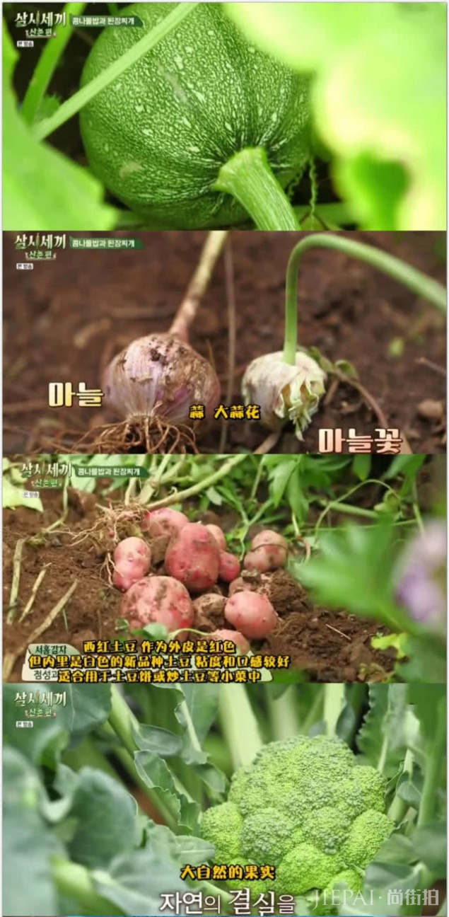 廉晶雅尹世雅体验农村生活,淀粉都得自制,郑雨盛登场如韩剧男主