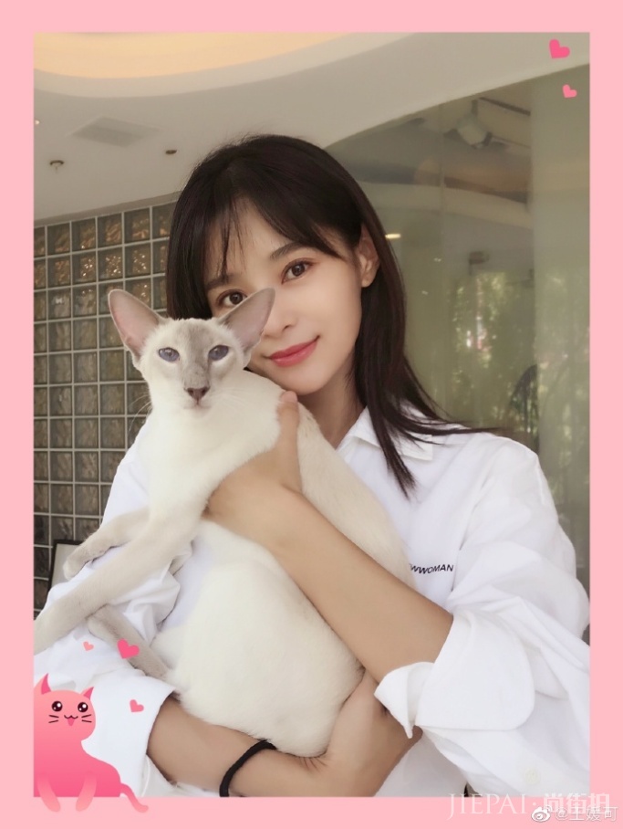 王媛可七夕晒照宠粉 “现男友”同款猫抢镜