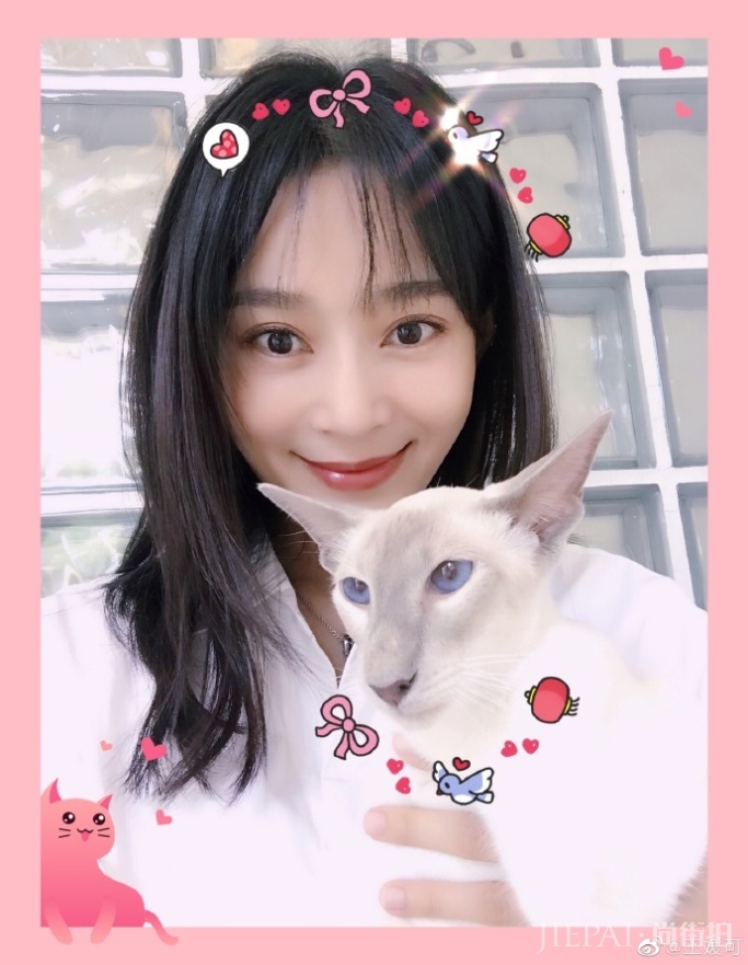 王媛可七夕晒照宠粉 “现男友”同款猫抢镜