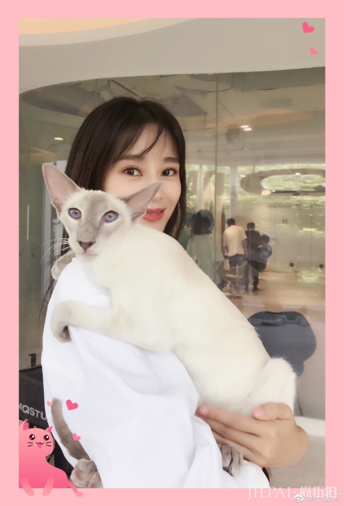 王媛可七夕晒照宠粉 “现男友”同款猫抢镜