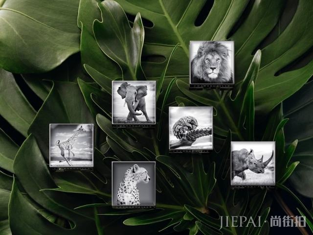 今年下半年神级眼影推荐，阿玛尼小胖瓶，RMK眼影蜜哪个色最美