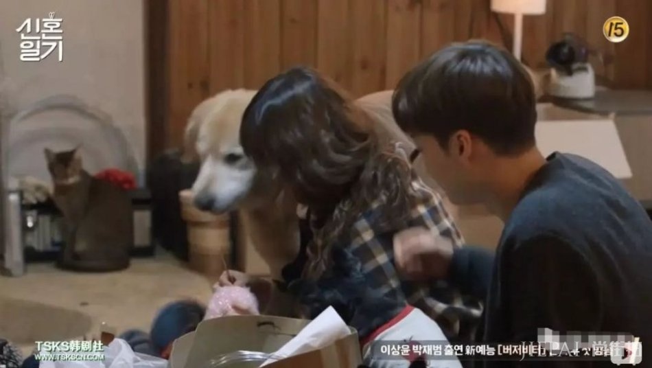 越撕越惨烈,这是我见过最悲伤的明星离婚大战!