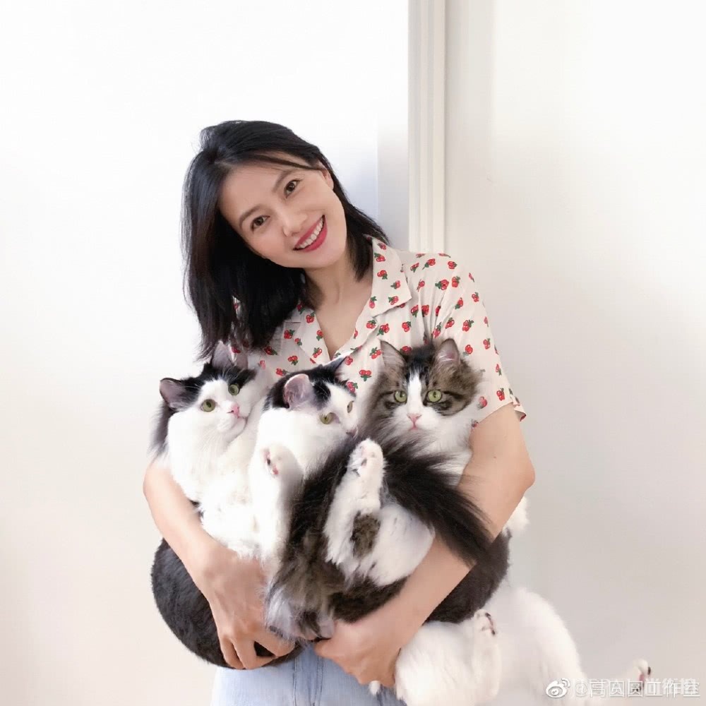 高圆圆生完宝宝后状态真好!穿印花衬衫搭配牛仔裤美回20岁