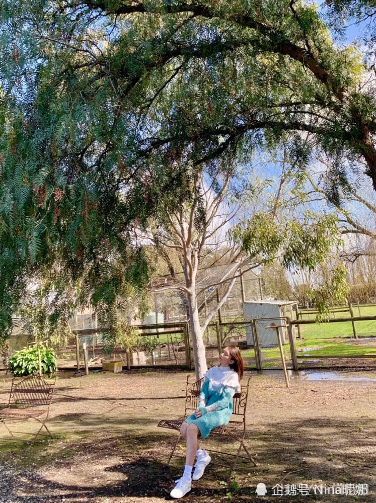 40岁陈乔恩墨尔本旅行拍大片,穿长裙打扮真少女