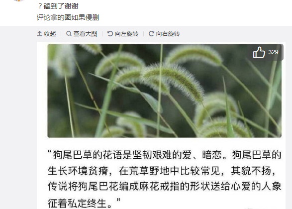 魏婴为蓝湛送“定情信物”，却被误会是投食，边反抗边质问太搞笑