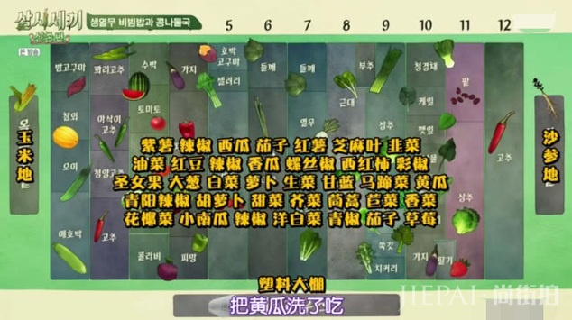 廉晶雅尹世雅体验农村生活,淀粉都得自制,郑雨盛登场如韩剧男主