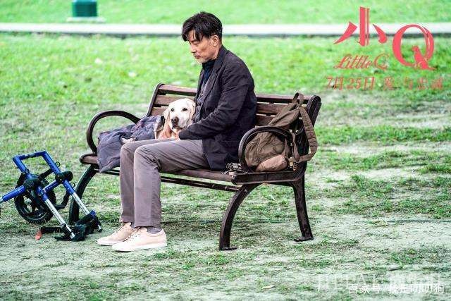 任达华首次回应遇刺事件:任何事情都应该往前看,过去就过去了