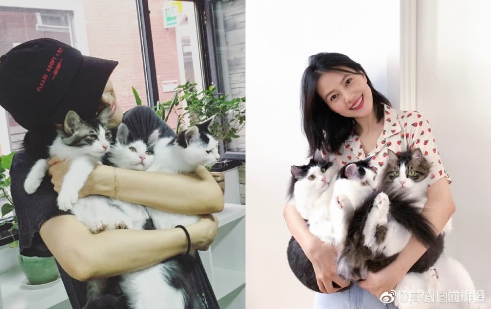 高圆圆生完宝宝后状态真好!穿印花衬衫搭配牛仔裤美回20岁