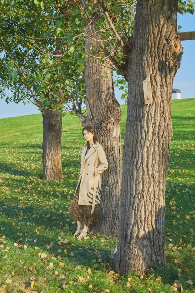 白鹿穿紫色针织套装裙戴贝雷帽,甜美动人