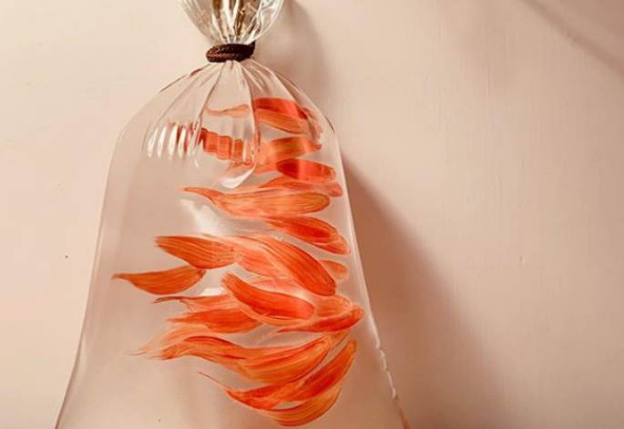 48岁袁咏仪与众好友庆生,老公张智霖不送包送“转运锦鲤”