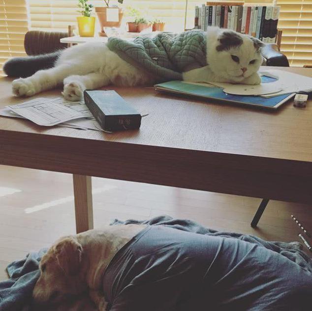 具惠善晒出安宰贤亲手写的保证书,原来她爱得这么卑微!