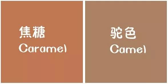 焦糖色这么好看,配什么颜色显白还高级?