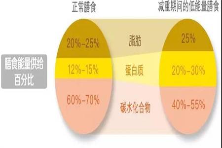 节食减肥并不不靠谱，要想减肥成功有效，就该吃的更好