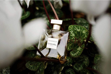 1570875186365948.jpg 香奈儿嘉柏丽尔香水,现代独立女性的花香调首选