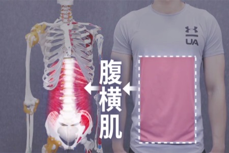 如何瘦腰和肚子？学习这个方法，让你站着躺着都能瘦