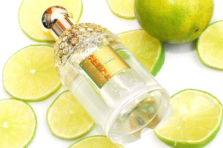 香水品牌又出大招,薄荷香气清爽迷人