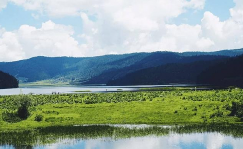 云南旅游攻略_少走坑路_驴友推荐这篇超实用亲身游_想去云南游必看！