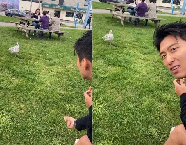 何超莲高调秀恩爱惹争议，窦骁险遭脱粉，只怪豪门千金太任性？