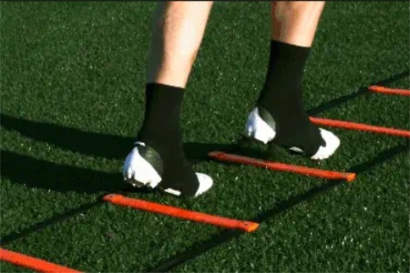 1555385269941806.jpg 梯形运动:减肥人士必备的一项快速燃脂运动