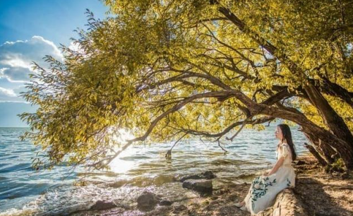 云南旅游攻略_少走坑路_驴友推荐这篇超实用亲身游_想去云南游必看！