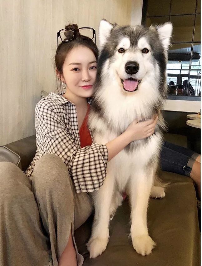 别再说155小个子不好买衣服,GET这5种穿搭超显高