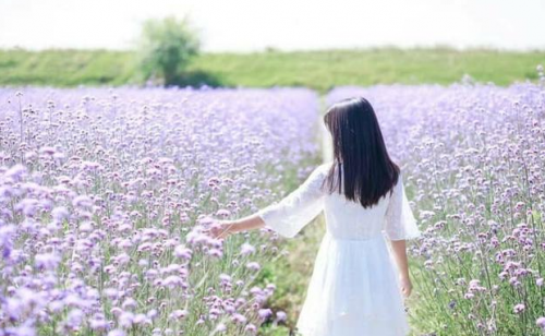 云南旅游攻略_少走坑路_驴友推荐这篇超实用亲身游_想去云南游必看！