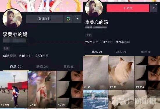 与贾乃亮真离婚,李小璐帮女儿改名李美心真相有点可笑
