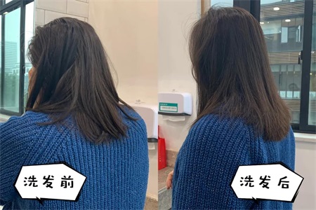 头发油怎么办？洗发水推荐清洁加保湿香气迷人，告别油腻