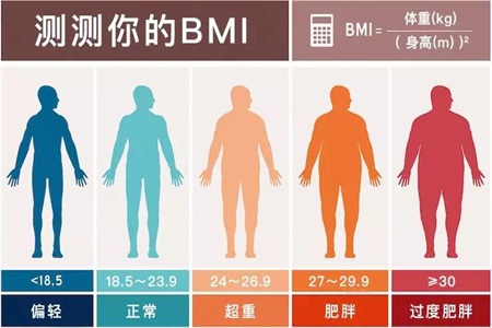 节食减肥并不不靠谱，要想减肥成功有效，就该吃的更好