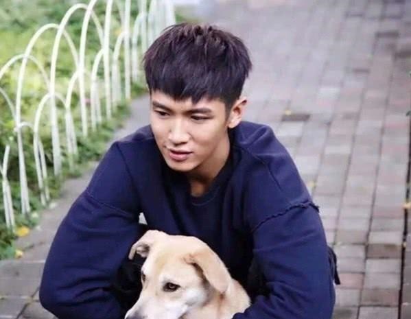 “越混越差”的4位明星,从一线跌至三四线,你为哪位感到惋惜?