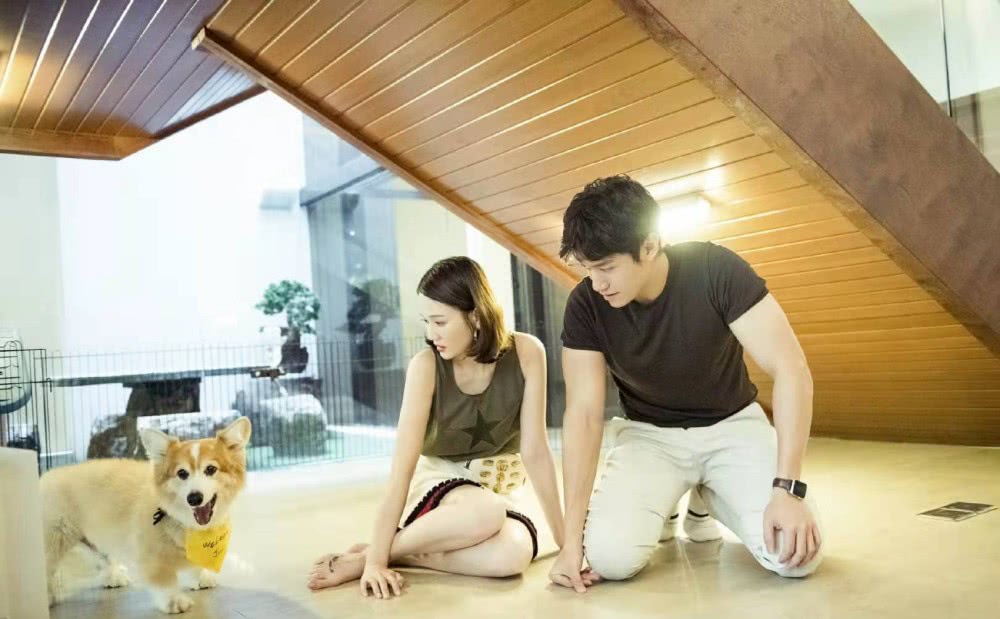 陈乔恩做客艾伦家,微卷短发配半裙,清新甜美范儿十足