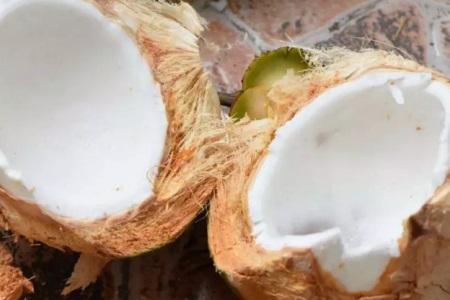 1564715581284764.jpg 最有效的减肥方法是什么?一个椰子就能帮你减肥