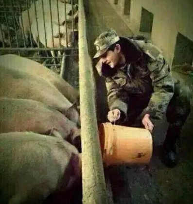 明星再红，也有回农村的时候，王宝强最接地气，而他带保镖防乡亲