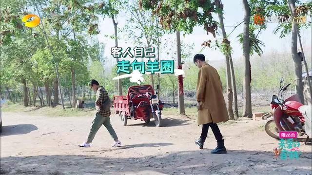 亲爱的客栈有毒!三位明星人设崩塌,难怪马天宇说:狗都没咱们累