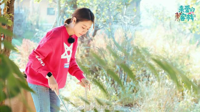 林心如表白霍建华引争议,陈意涵表白老公却获赞,仅因说话方式?