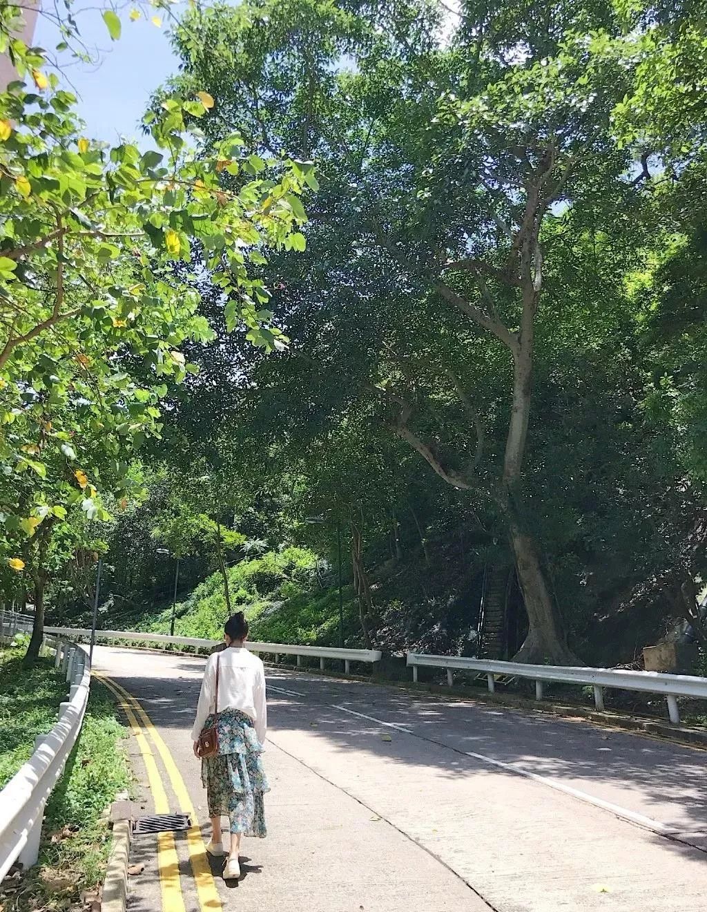 简直就是本行走的教科书!高圆圆这拍照也太好看了吧!