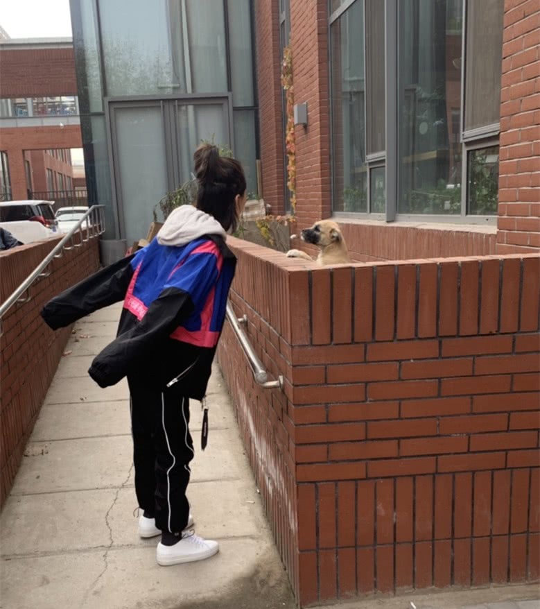 清纯氧气美女周冬雨解锁冰球技能，运动装难掩超细小腿