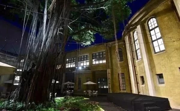 林志玲结婚,治愈了我被双宋离婚伤了的心