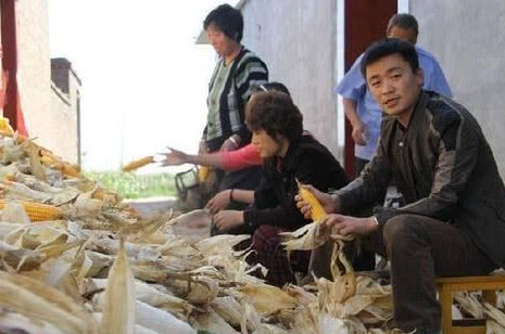 明星再红,也有回农村的时候,王宝强最接地气,而他带保镖防乡亲