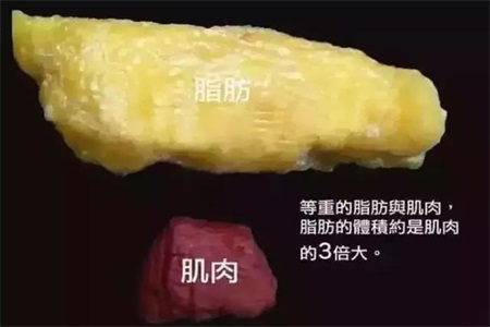 晚上不吃饭能减肥吗？女性小心月经问题找上门来