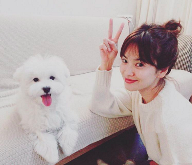 “空气刘海”失宠了，现在流行“法式刘海”，无论长发短发都适合