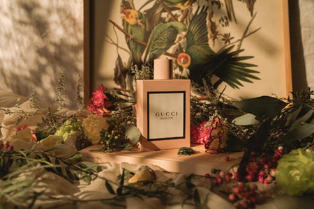 1561525232129708.jpg 认识gucci品牌女士香水的魅力,从这三款香水开始