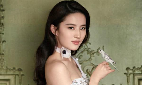 刘诗诗还火着, 刘涛还火着, 刘亦菲还火着, 只有姓刘的她不火了